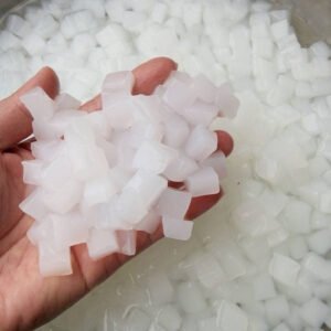 Nata De Coco / Coconut Jelly (Raw)