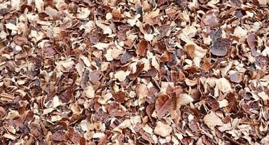 Cashew Husk
