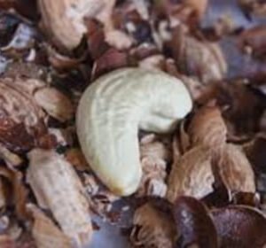 Cashew Husk