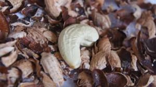 Cashew Husk