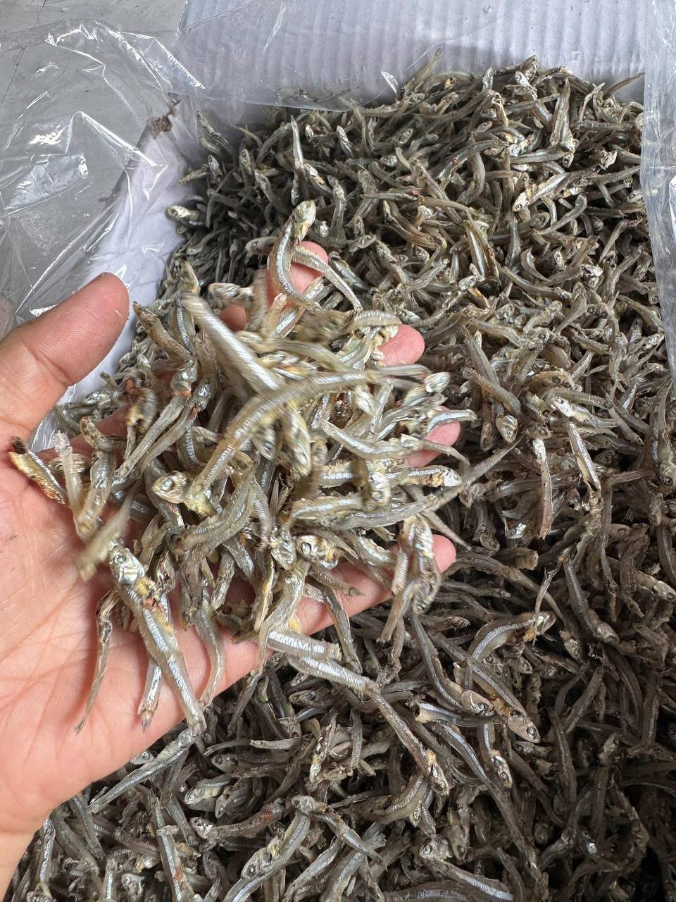 Dried anchovy (sprats)