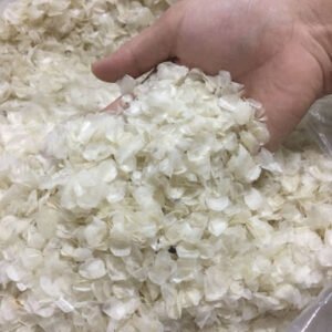 Dried Fish Scale