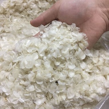 Dried Fish Scale