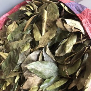 Dried soursop leaves