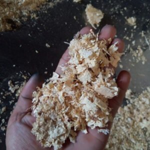 Pine Wood Shavings